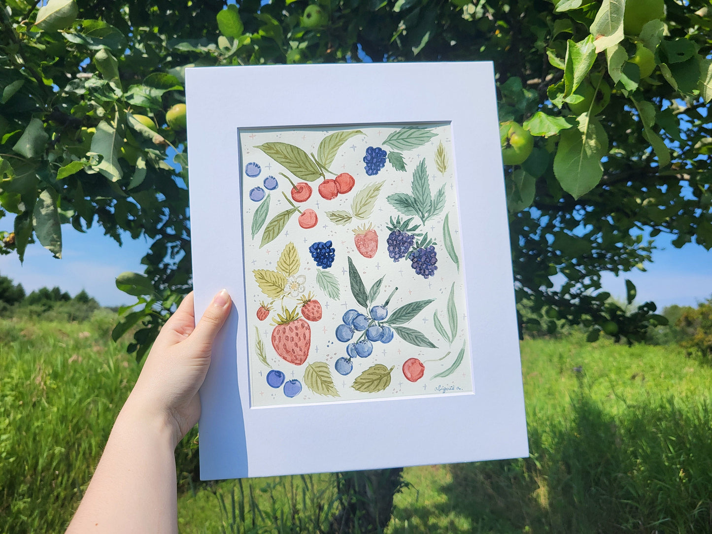 Watercolor berries art* Watercolor painting of fruit and berries*painting of fruits and flowers*Watercolor flowers and berries