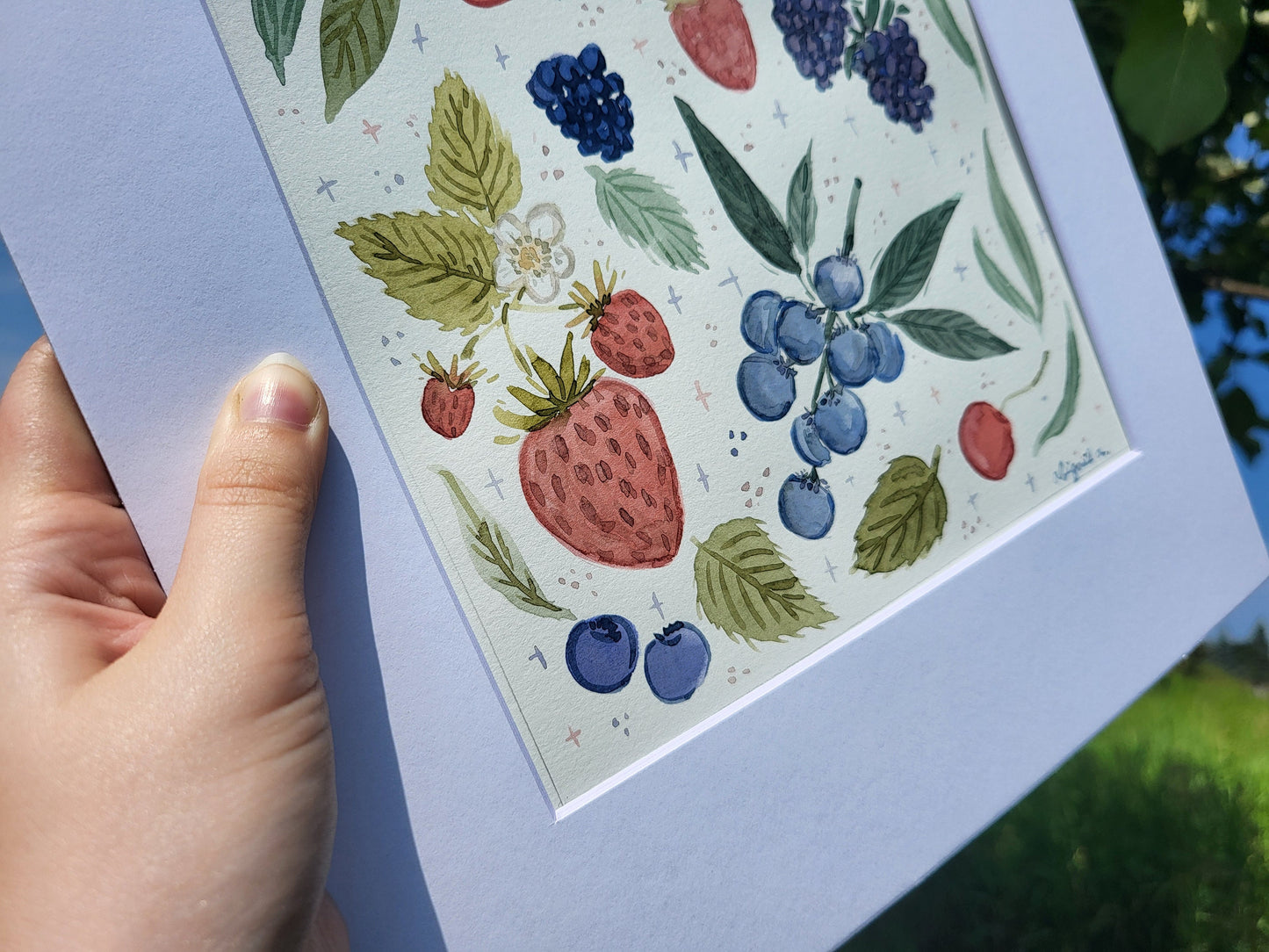 Watercolor berries art* Watercolor painting of fruit and berries*painting of fruits and flowers*Watercolor flowers and berries