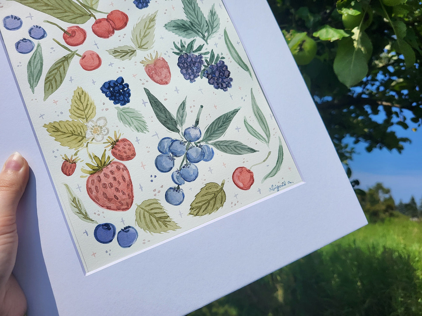 Watercolor berries art* Watercolor painting of fruit and berries*painting of fruits and flowers*Watercolor flowers and berries