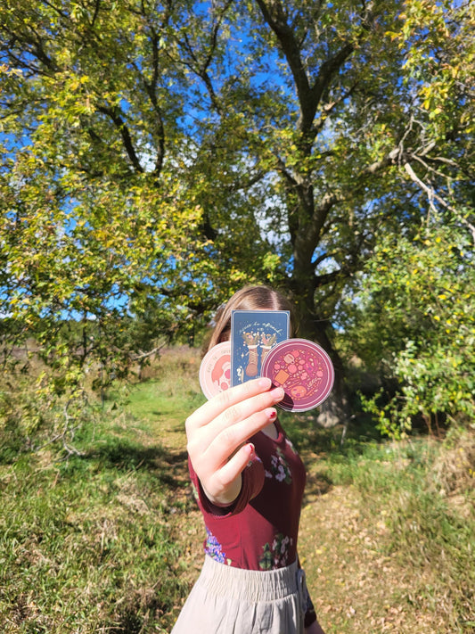 3 pack adventurer stickers
